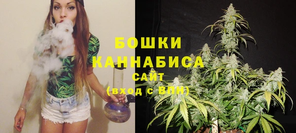 молекула духа Баксан