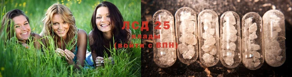молекула духа Баксан