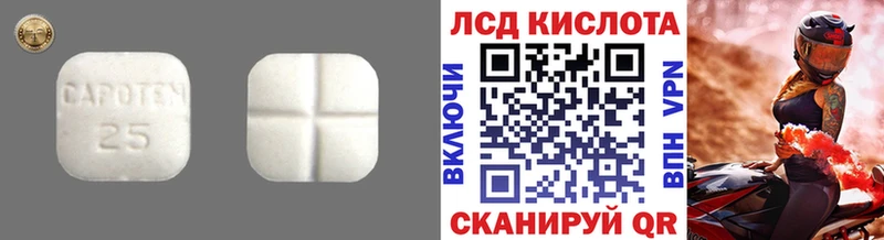 LSD-25 экстази ecstasy Чкаловск