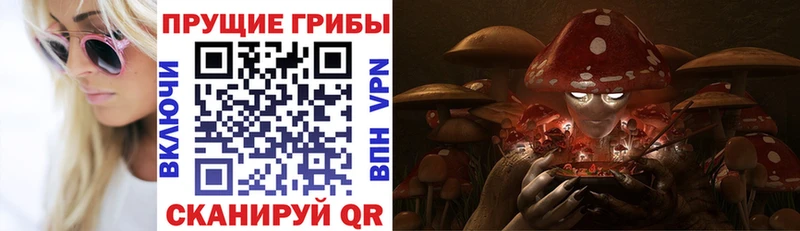 купить наркотик  нарко площадка как зайти  Галлюциногенные грибы мухоморы  Чкаловск 